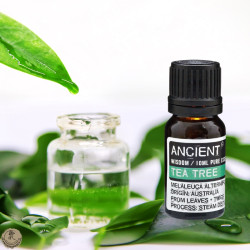 Olejek eteryczny Drzewo Herbaciane 10ml