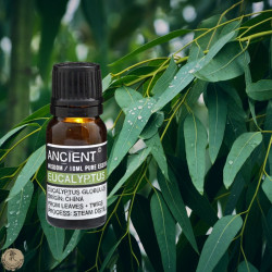 Olejek eteryczny Eukaliptusowy 10ml
